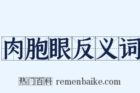 肉胞眼反义词是什么意思的图片